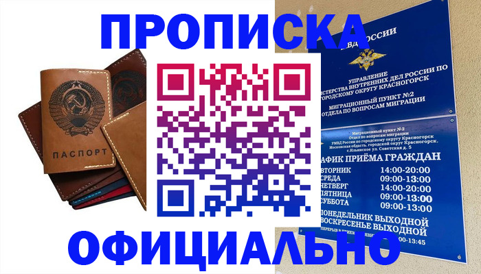 временная прописка в Ногинске